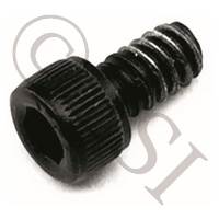 RPM Parts Screw - Hex Head - Cap - Black - 1/4 Inch